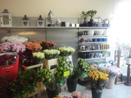 Geweldige sortering aan bloemen en planten